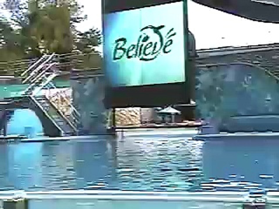 shamu florida 2007