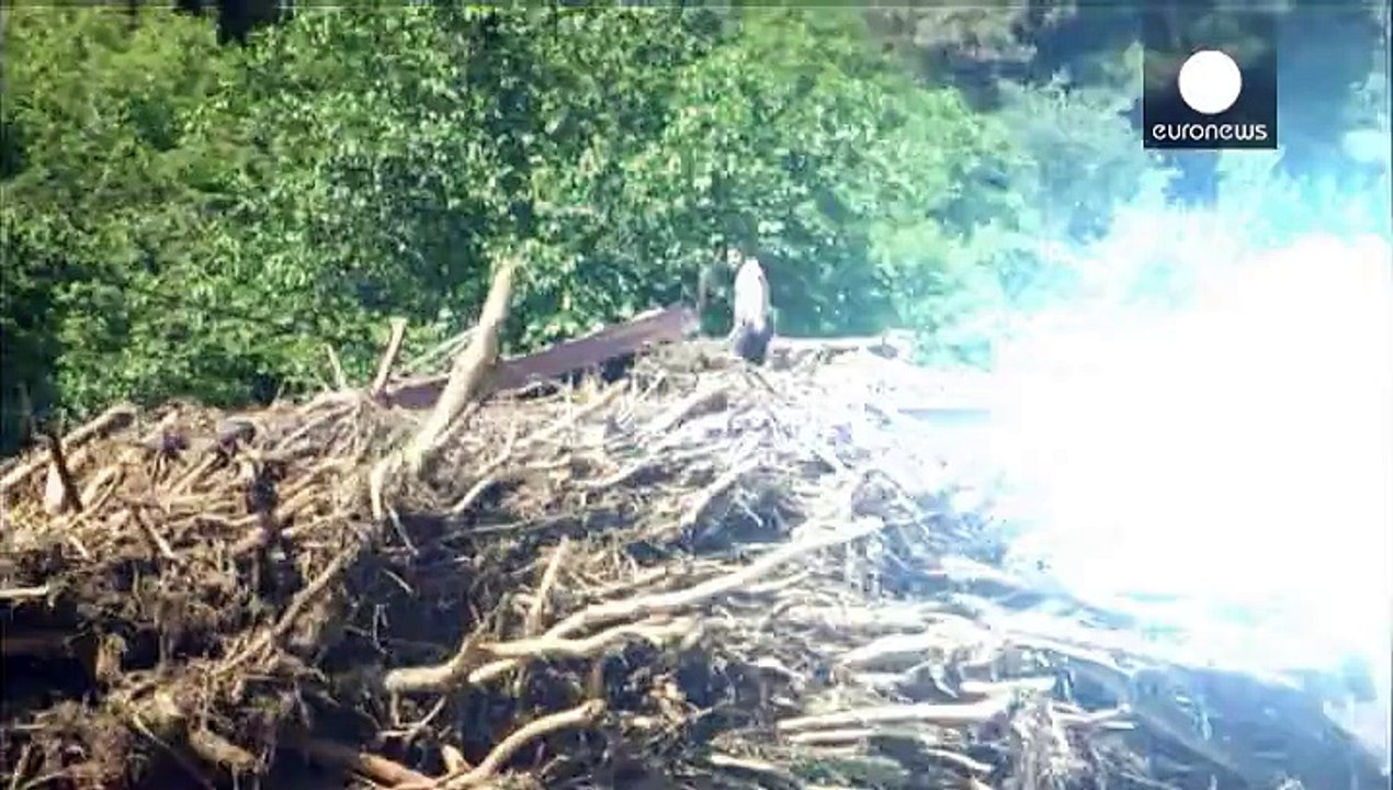 Schwere Schäden nach Unwetter in Tiflis - Raubtiere brechen aus Zoo aus