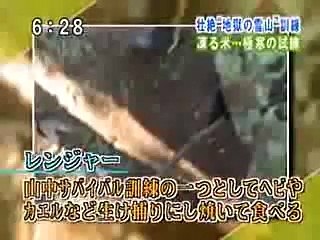 冬季遊撃レンジャー 2/2