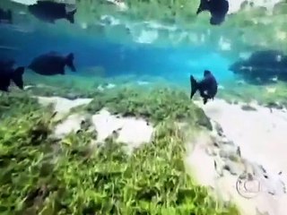 O PODER DA CRIAÇÃO A NATUREZA DIVINA..