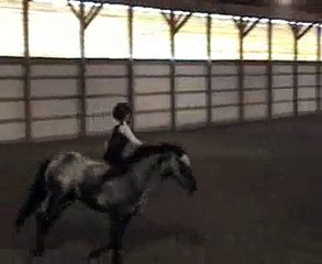 Bareback & Bridleless Jumping Performance - Lizzy Traband  &Toby