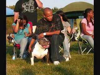 Midwest BBQ 2009 Highlights