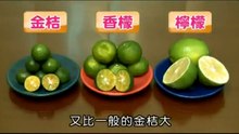 扁實檸檬-台灣香檬的故事精華篇