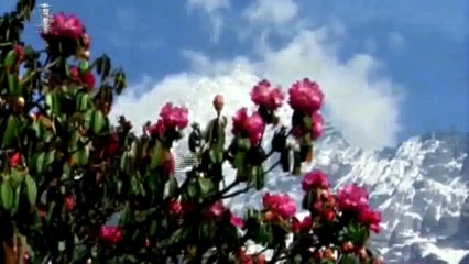 Zikir Penenang Hati- Allah.mp4 malaysia.com