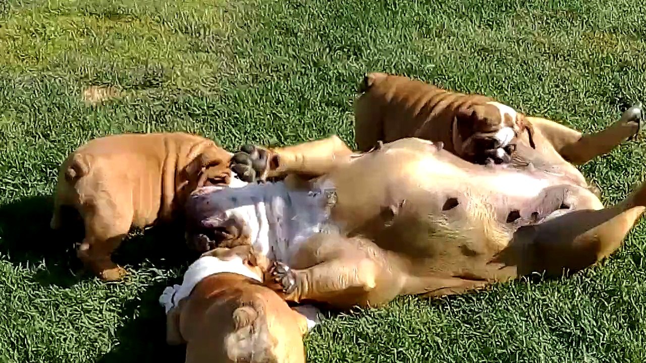 Maman as tu encore du lait :-) ?