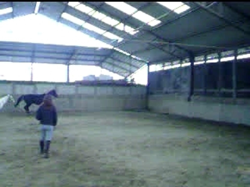 Lady et désir