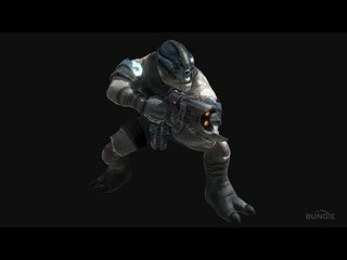 Halo Reach: Covenant Characters