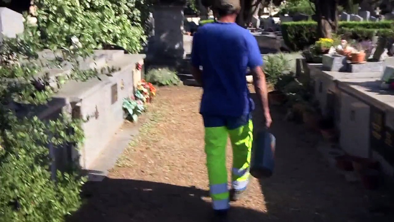 Caméra cachée : Rémi Gaillard déguisé en chien