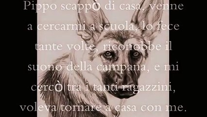 Pippo, il cane che aveva giurato fedeltà. Una storia vera. PT. 1