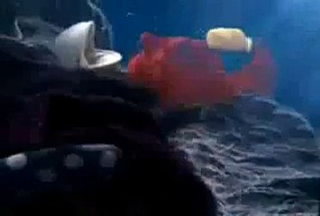 AKDERE REGAL KOMBİ SERV.(0312) 279-15-16