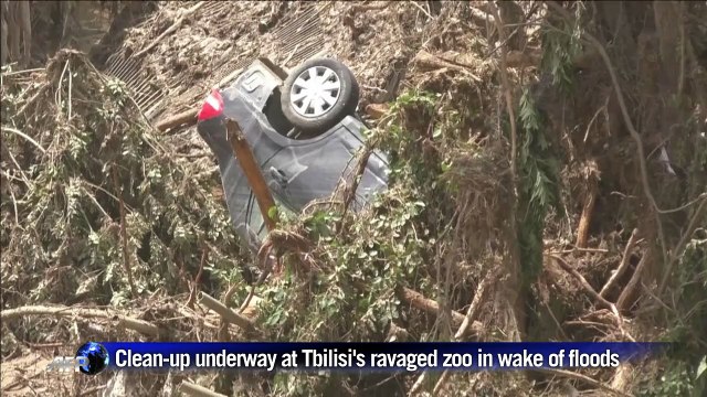 Clean-up underway at Tbilisi's devastated zoo in wake of floods