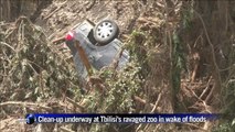 Clean-up underway at Tbilisi's devastated zoo in wake of floods