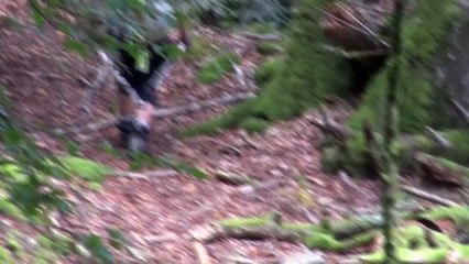 Bivouac dans la tanière d'ours