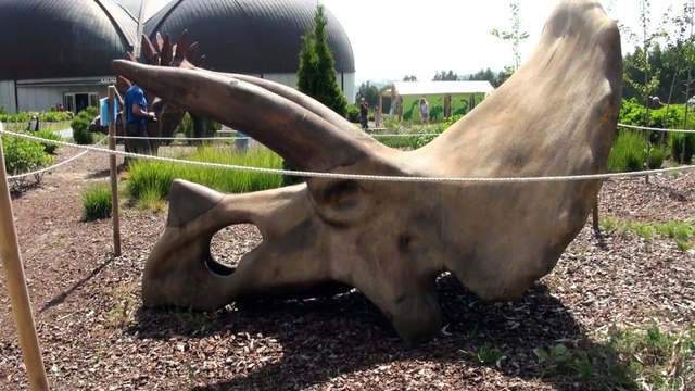 Científicos descubren restos de sangre de dinosaurio en fósiles