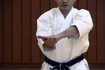 heian godan kata bunkai