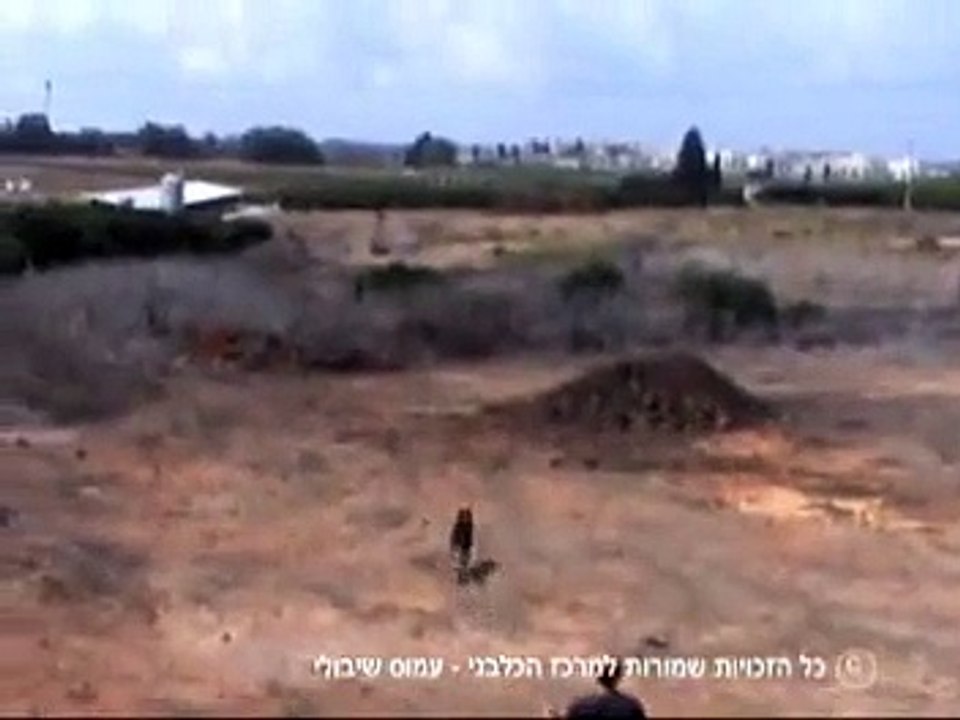 Patrol-Anti terror dogs open fieled search GSD - כלבי סיור