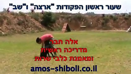 אילוף כלבים - פקודת ארצה - שב