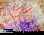 Press TV-Iran -The Art of Plaster Carving  -04-17-2010