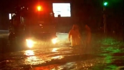 Löwen und Tiger nach Fluten aus Zoo Tiflis ausgebrochen