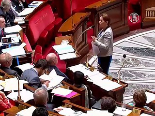 Франция занялась восстановлением численности пчёл