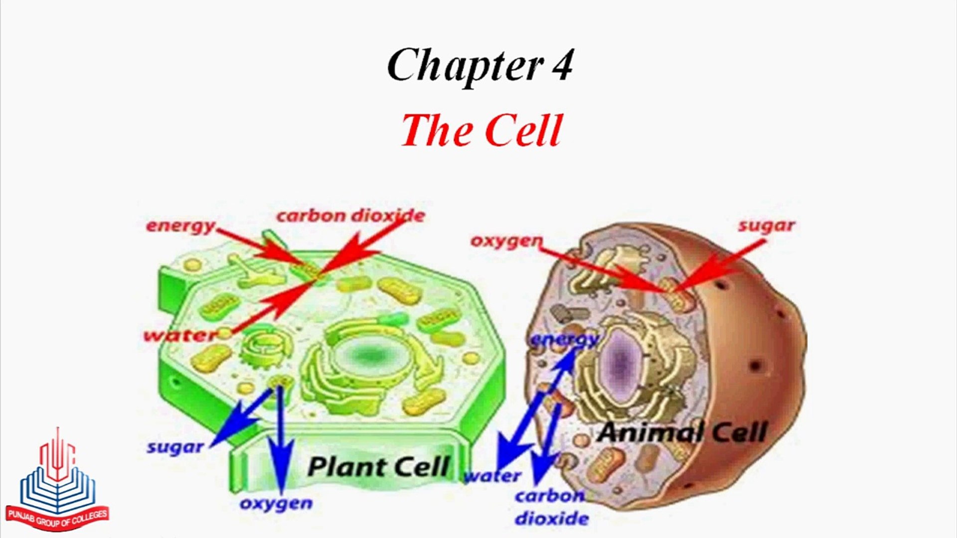 ⁣Introduction of cell , Emergence & implication of Cell Theory