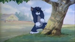 Tom_and_Jerry Best Cartoon video Ever