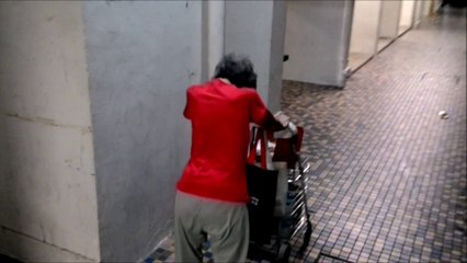 A Tribute to Nancy: A Community Cat Feeder from Beach Road, Singapore