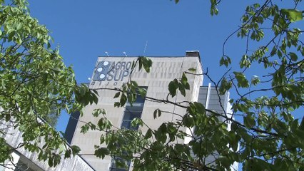 ITV J. Grober pour Corpus, Canopé - Educagri Editions - Démo