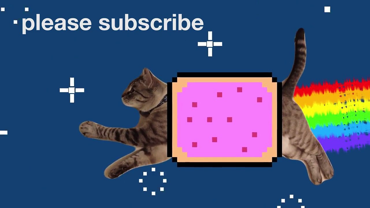 Nyan Cat (original real cat version)