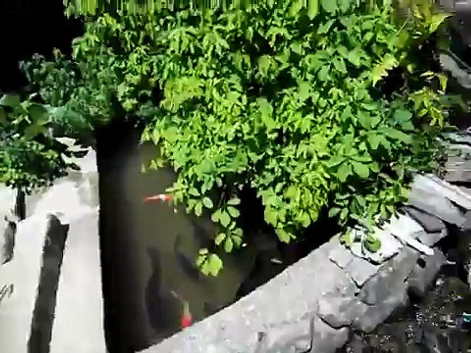 KAMPOENGNYA DORAEMON.AVI