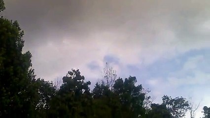 Suara Panggil Luar Walet yang Grates  13122013890