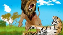 Perkelahian Binatang Buas Singa Melawan Harimau