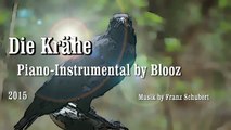 Die Krähe (Franz Schubert)- Piano-Instrumental