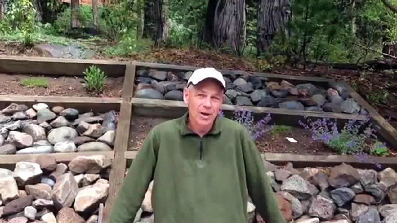 Pickleball Singles Tips from Champion Scott Moore