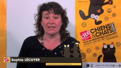 Pourquoi les chats ronronnent-ils ?