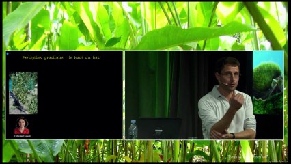 Chez les plantes aussi, ça bouge !