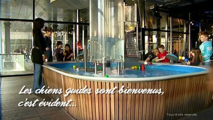 La Cité des sciences, accessible à toutes et à tous