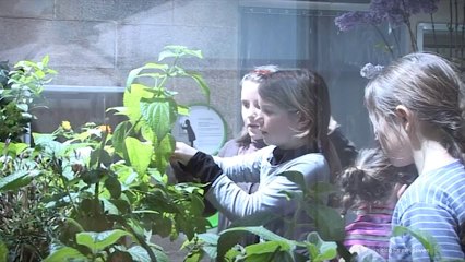 Cité des enfants 5/12 ans, le jardin