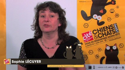 Pourquoi les chiens n'aiment pas les facteurs ?