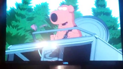 brian griffin gets stung by bees