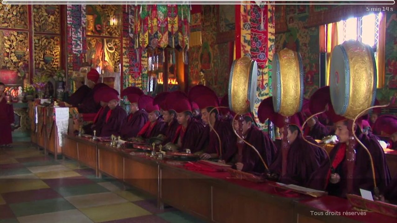 La voix, quatre instruments en un