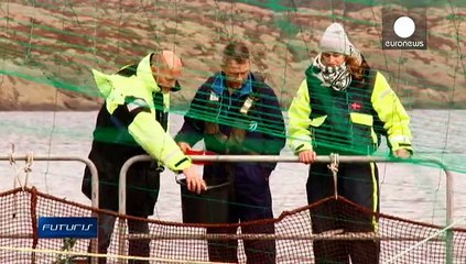 استفاده از جلبکهای دریایی برای پاکسازی آب دریاها