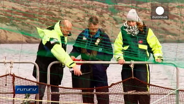 Морепродукты... Есть ли риск для здоровья?