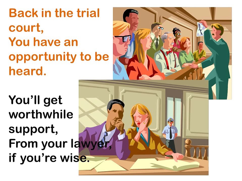 The Court System Song