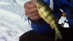 Canadian Sportfishing Ice fishing for jumbo perch, Georgina Island Lake Simcoe ON Csf 23 08 04