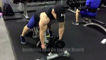 Dumbbell Incline Bench Rows Neutral Grip Video Dailymotion