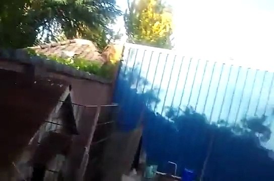 Een vogel in de tuin wat zou dat betekenen? Deel 3