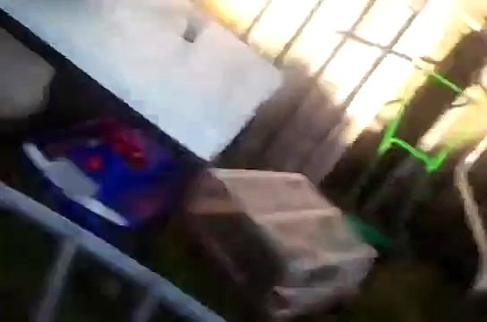 Een vogel in de tuin wat zou dat betekenen? Deel 4