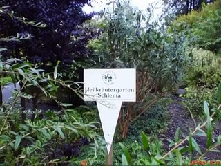 Goethe und die Finanzkrise