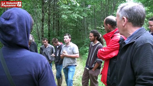 Sénergues : bovins viande et forêt paysanne